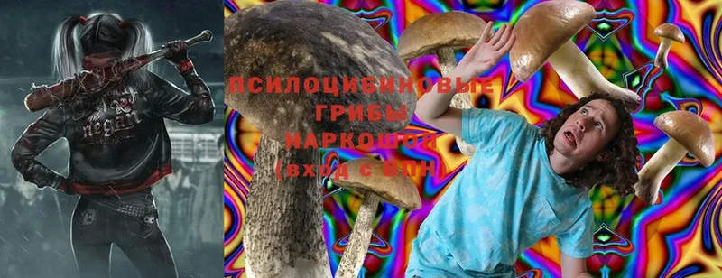 Галлюциногенные грибы MAGIC MUSHROOMS  магазин    Владикавказ 